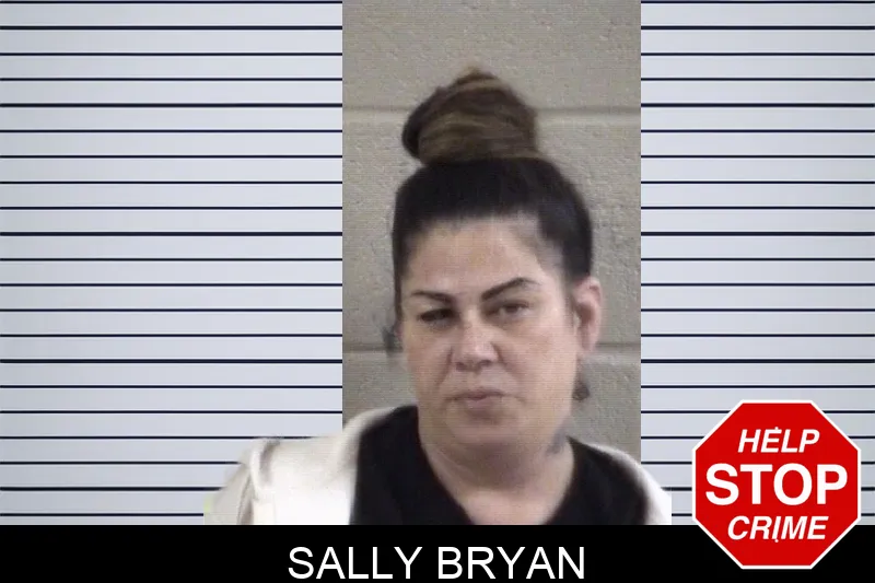 Sally Bryan Mugshots