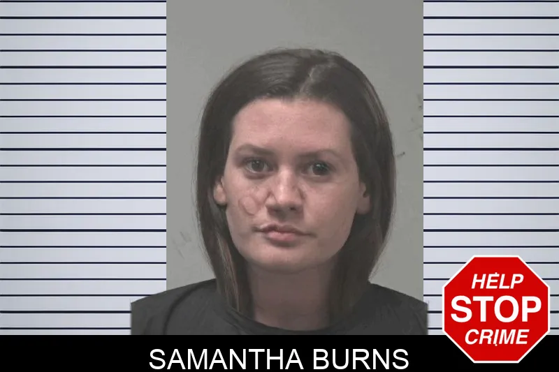 Samantha Burns Mugshots