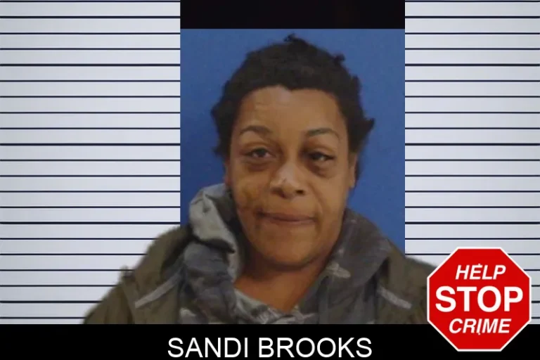 Sandi Brooks mugshot – Troup County , Georgia Sandi Brooks