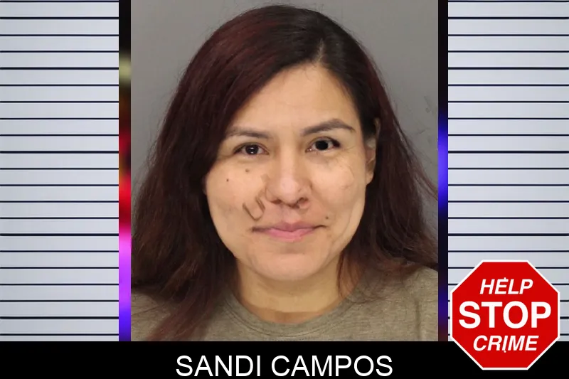 Sandi Campos Mugshots