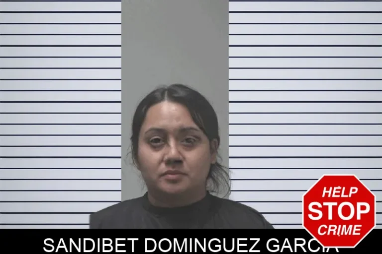 Sandibet Dominguez Garcia