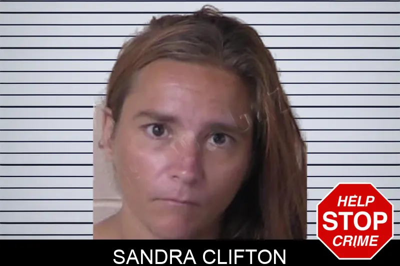Sandra Clifton mugshot