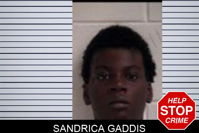 Sandrica Gaddis mugshot – Henry County , Georgia Sandrica Gaddis mugshot