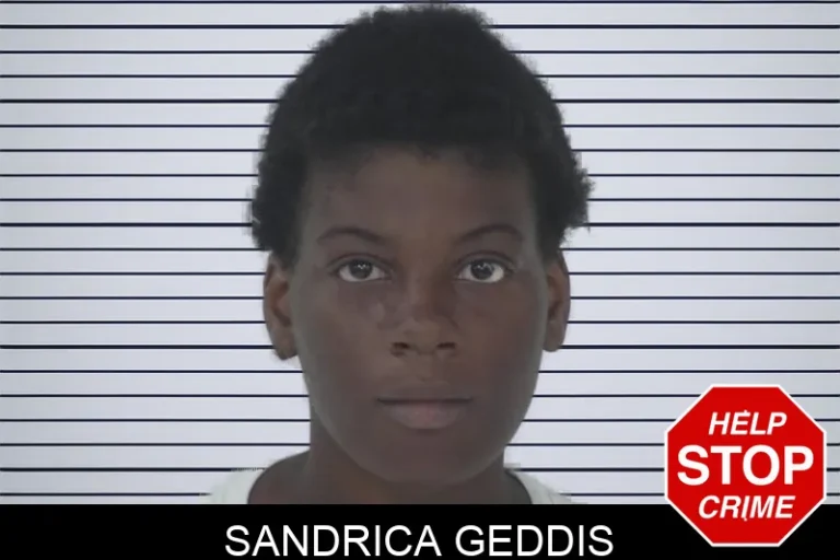 Sandrica Geddis mugshot – Fayette County , Georgia Sandrica Geddis