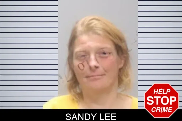 Sandy Lee