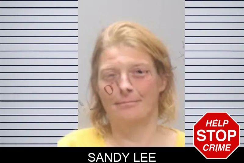 Sandy Lee Mugshots