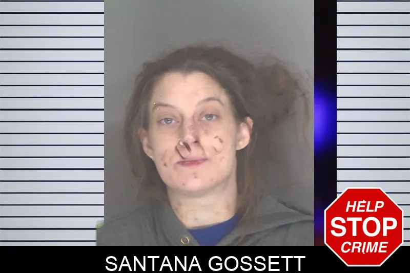 Santana Gossett mugshot