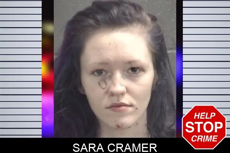 Sara Cramer Mugshots