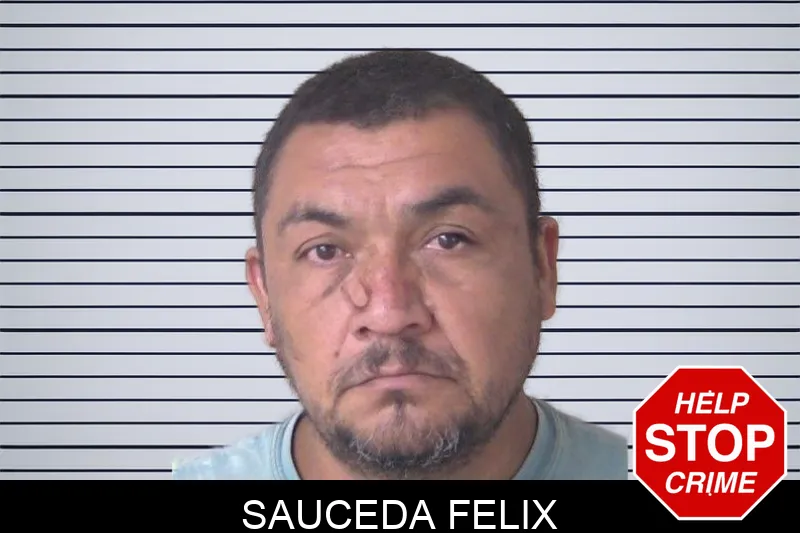 Sauceda Felix Mugshots
