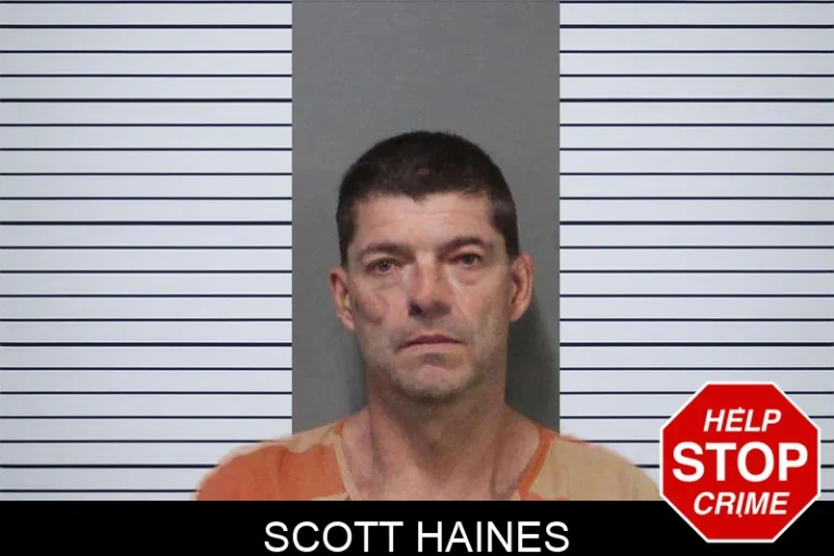 Scott Haines