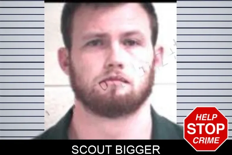 Scout Bigger