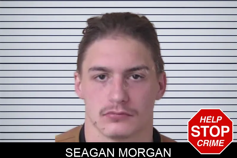 Seagan Morgan mugshot