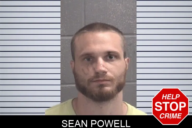 Sean Powell Mugshots