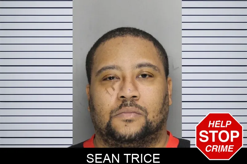 Sean Trice mugshot – Cobb County , Georgia Sean Trice mugshot