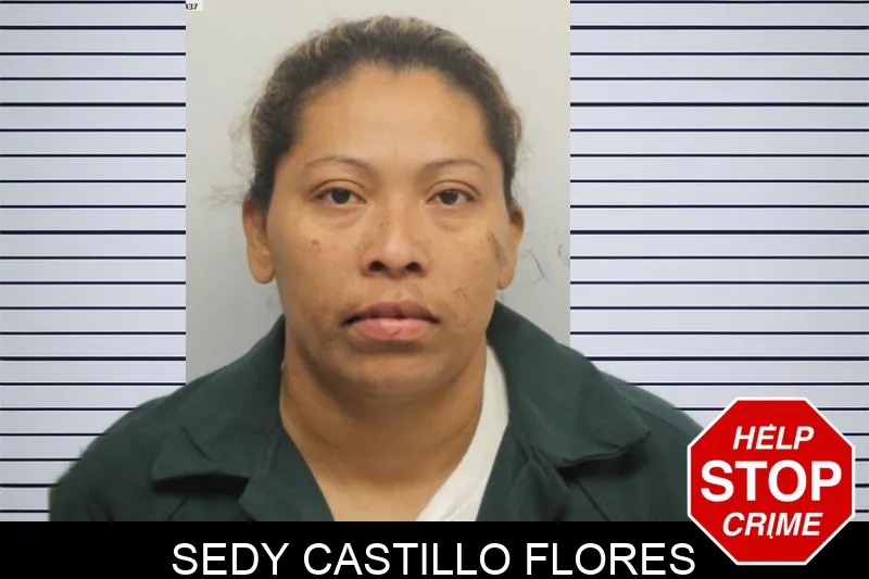 Sedy Castillo Flores mugshot