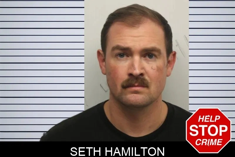 Seth Hamilton mugshot