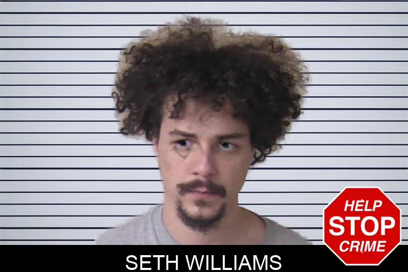 Seth Williams Mugshots