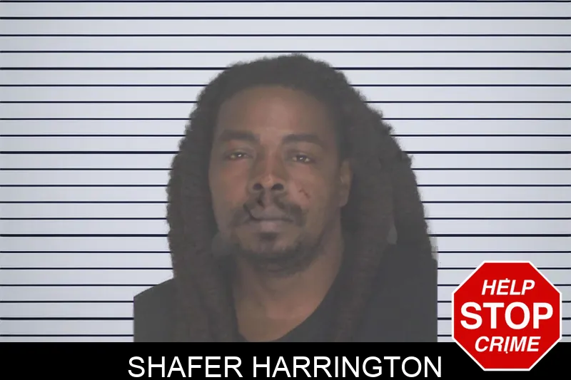 Shafer Harrington Mugshots