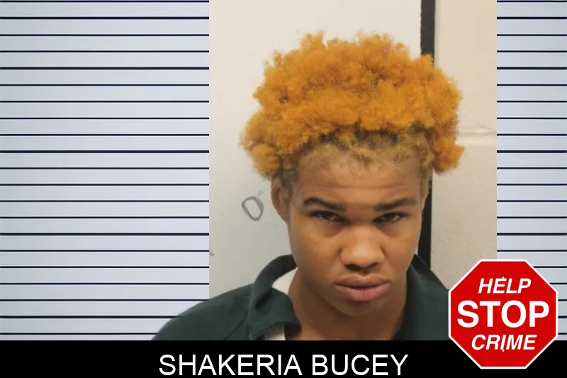 Shakeria Bucey Mugshots