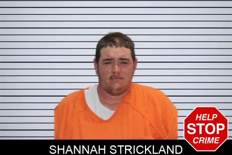 Shannah Strickland mugshot – Murray County , Georgia Shannah Strickland