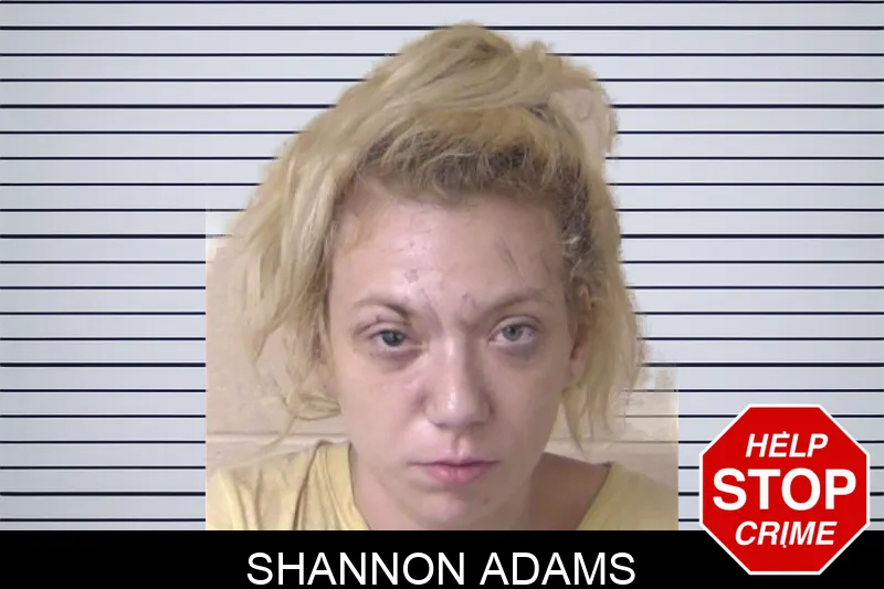 Shannon Adams Mugshots