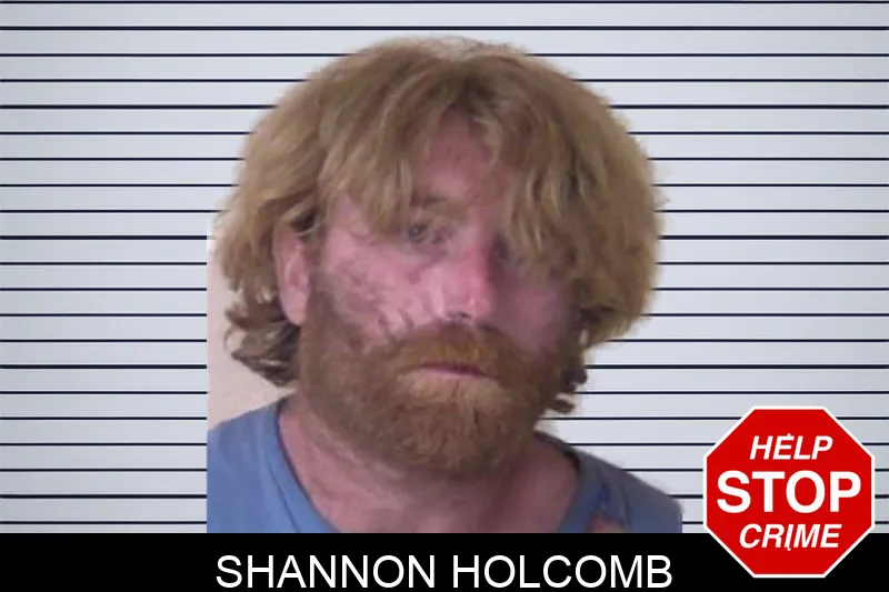 Shannon Holcomb Mugshots