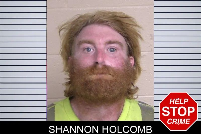 Shannon Holcomb Mugshots