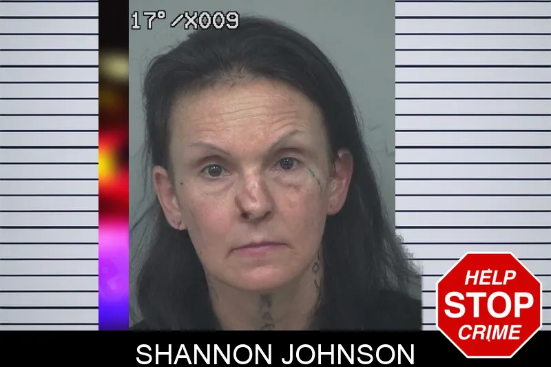 Shannon Johnson mugshot