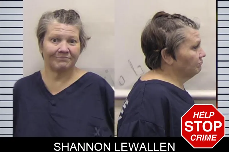 Shannon Lewallen Mugshots