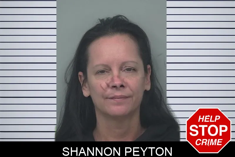Shannon Peyton mugshot – Gwinnett County , Georgia Shannon Peyton mugshot