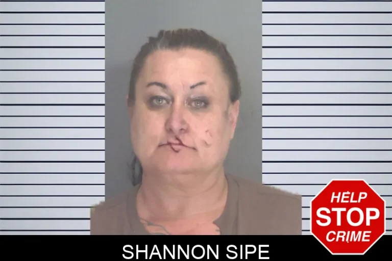 Shannon Sipe