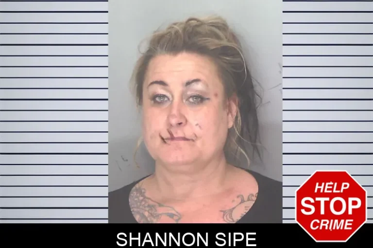 Shannon Sipe