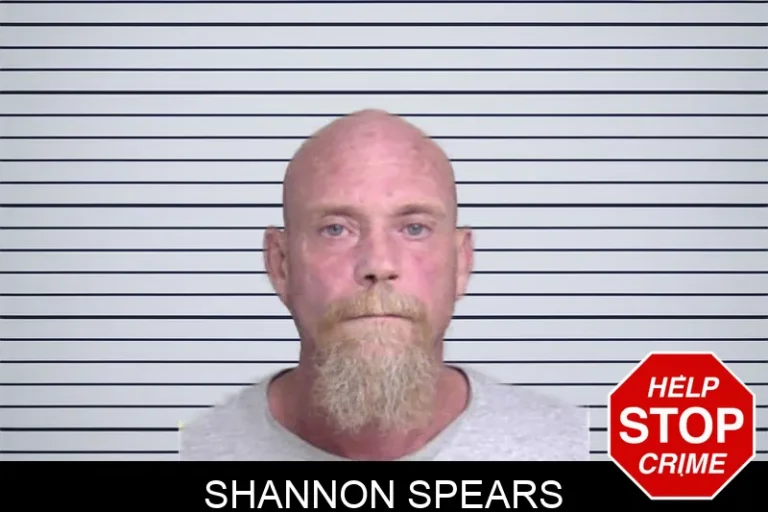 Shannon Spears