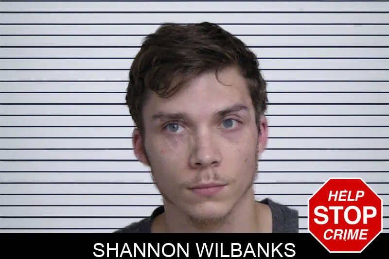 Shannon Wilbanks mugshot – Walker County , Georgia Shannon Wilbanks mugshot