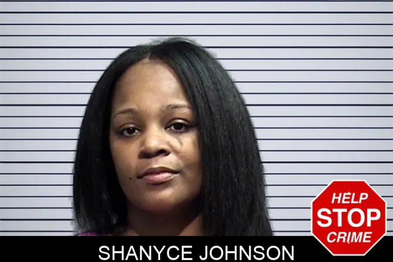 Shanyce Johnson mugshot – Effingham County , Georgia Shanyce Johnson