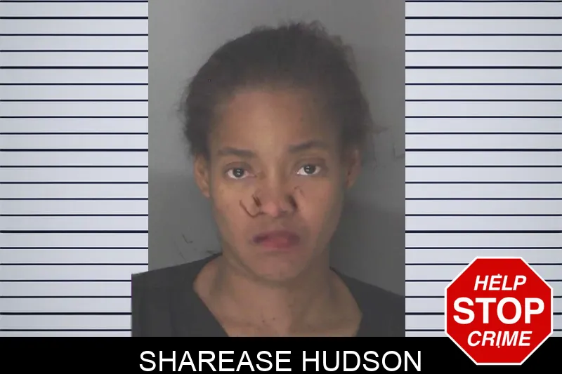 Sharease Hudson mugshot – Douglas County , Georgia Sharease Hudson mugshot