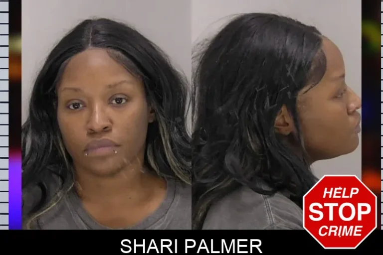 Shari Palmer