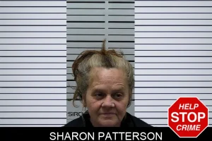 Sharon Patterson mugshot