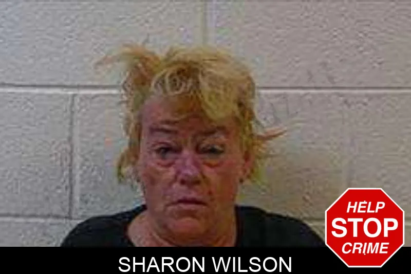 Sharon Wilson