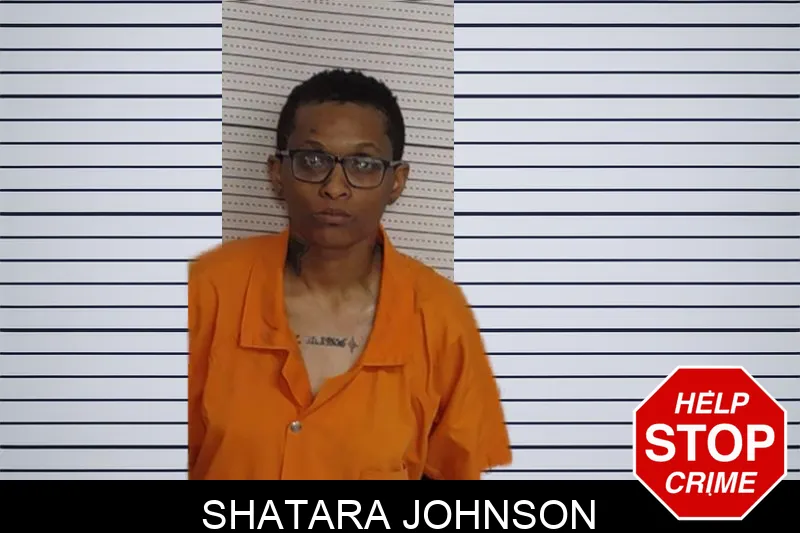 Shatara Johnson Mugshots