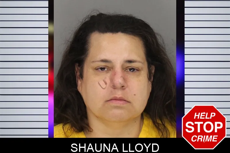 Shauna Lloyd mugshot – Cobb County , Georgia Shauna Lloyd mugshot