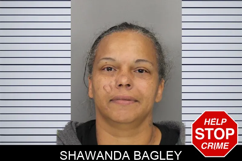 Shawanda Bagley Mugshots