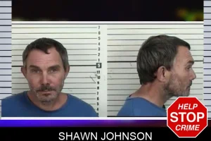 Shawn Johnson mugshot