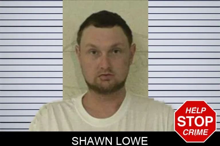 Shawn Lowe