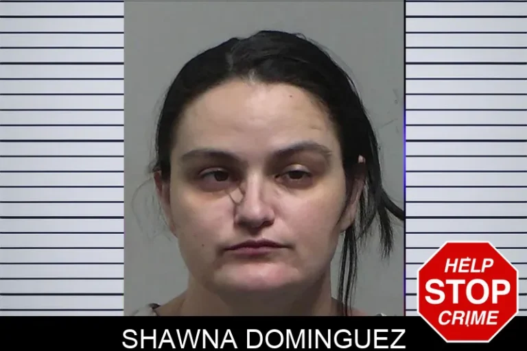 Shawna Dominguez mugshot – Tift County , Georgia Shawna Dominguez