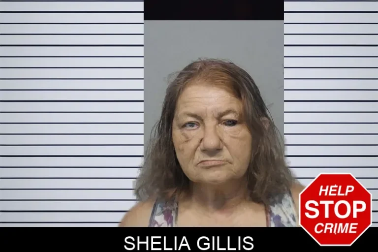 Shelia Gillis mugshot – Bibb County , Georgia Shelia Gillis