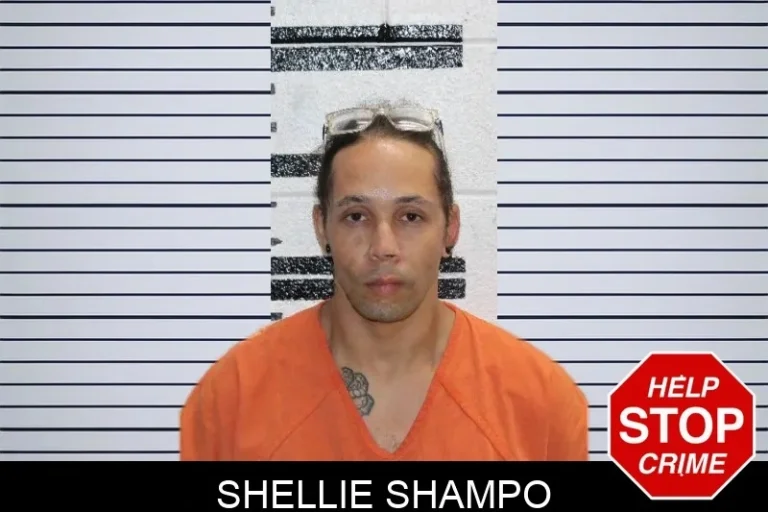 Shellie Shampo mugshot – Murray County , Georgia Shellie Shampo