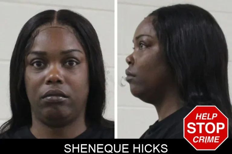 Sheneque Hicks mugshot – Houston County , Georgia Sheneque Hicks