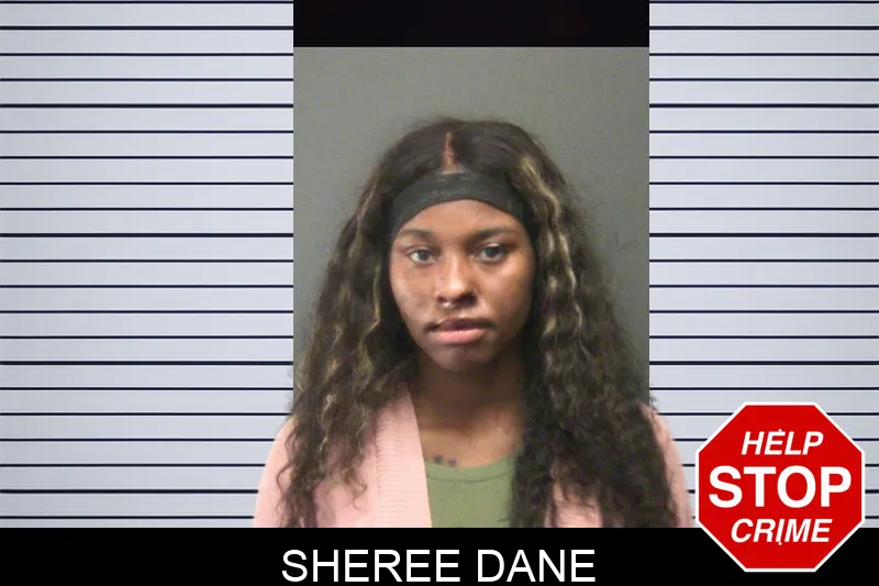 Sheree Dane mugshot – Cherokee County , Georgia Sheree Dane mugshot