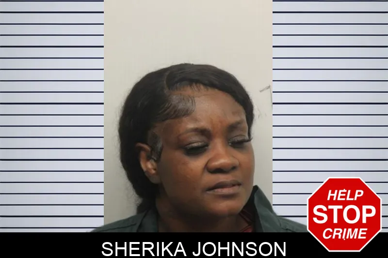 Sherika Johnson mugshot